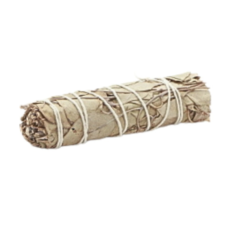 Australian Eucalyptus Smudge Stick