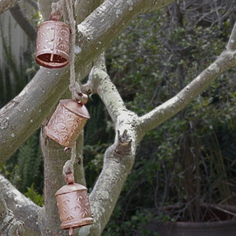 Iron Wind Chime Bells on Rope hanging in a tree outside