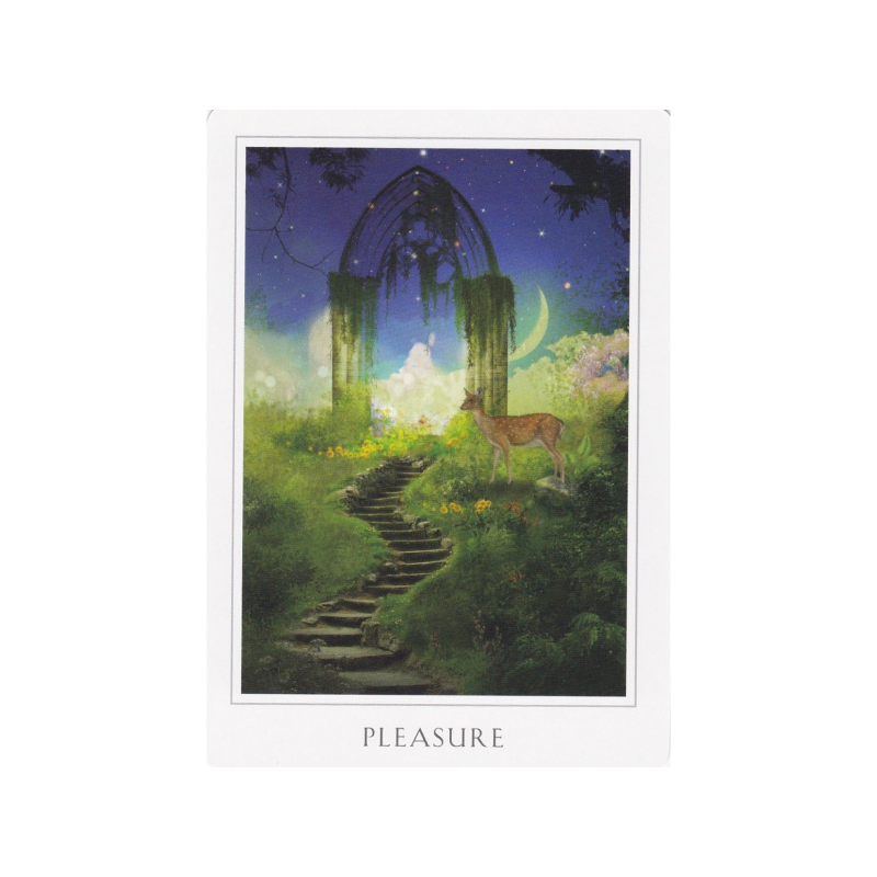 Sacred Forest Oracle Cards