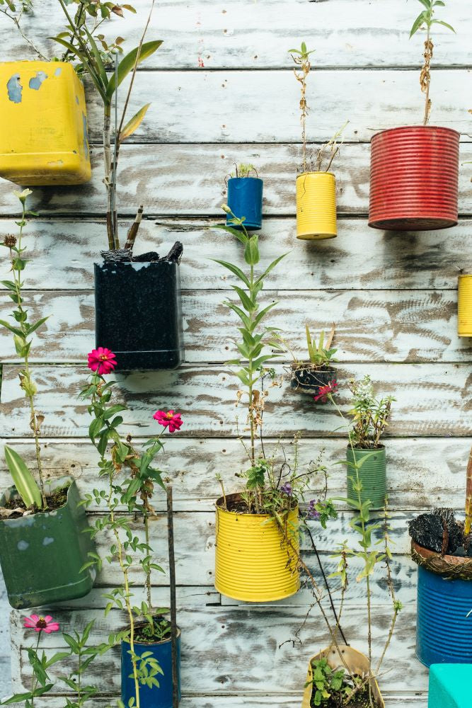 recycled tins used as pot plant holders