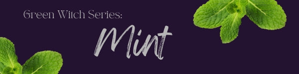 The Magickal & Mundane Properties of Mint