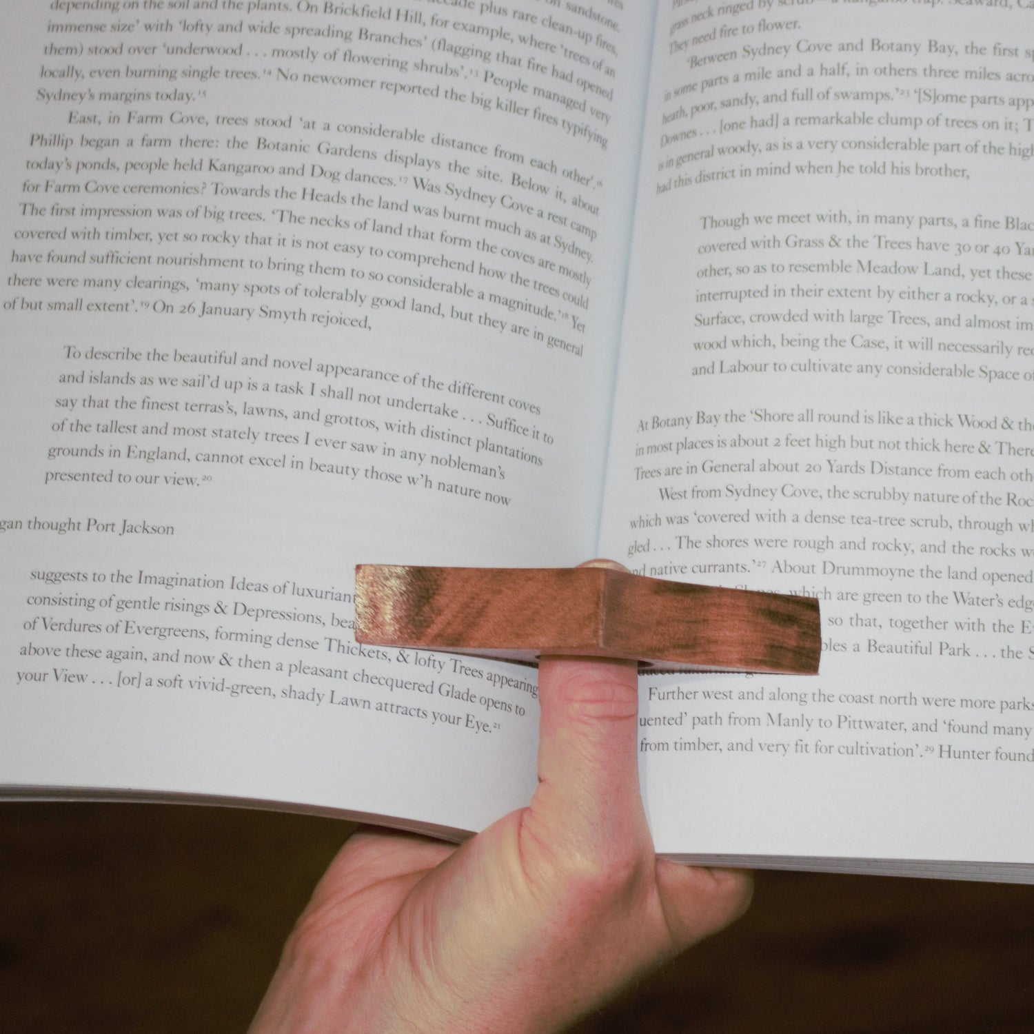 Page Holders AKA Book Birds