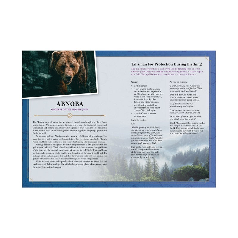 page from the 2026 lunar and seasonal diary with bear image and text on a white background