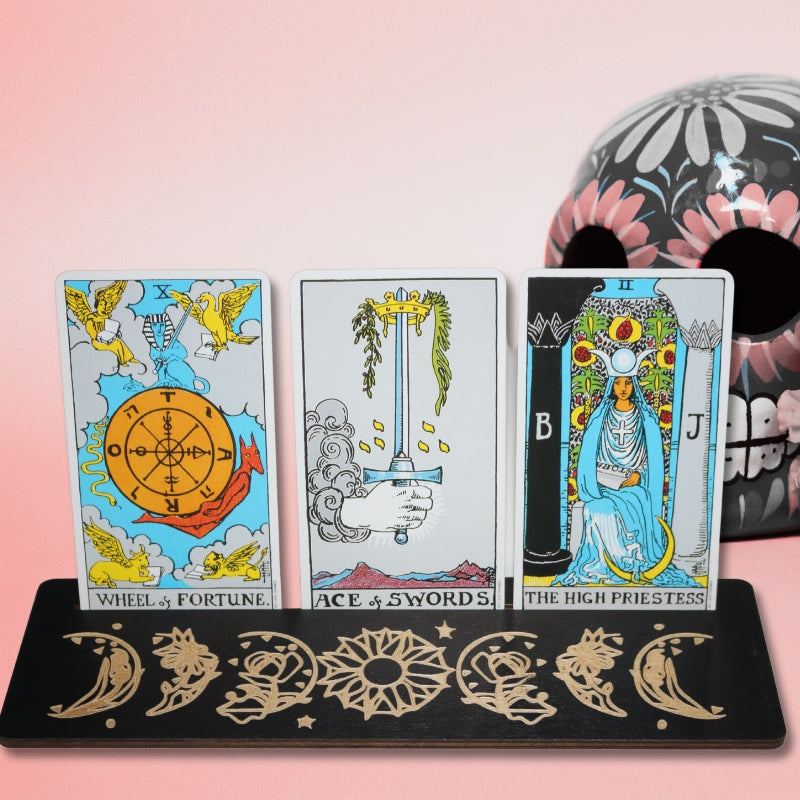 3 tarot cards in a black tarot card holder in front of a pink wall and floral ceramic skull