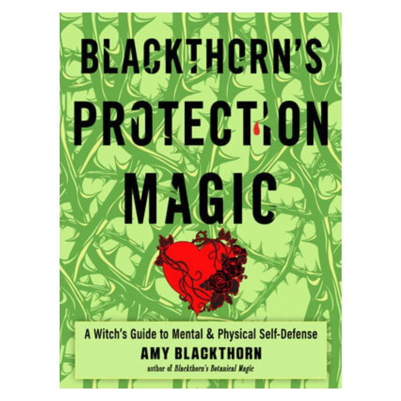 Amy blackthorn's Book of Protection Magic