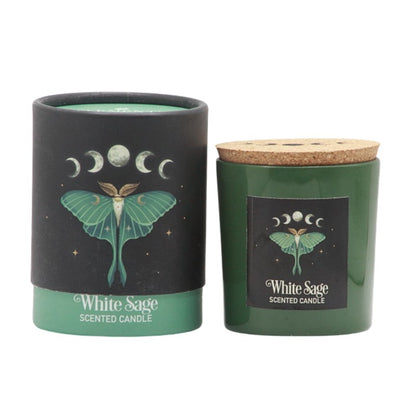 Luna Moth Scented Candle next to  Gift Box 120gm -