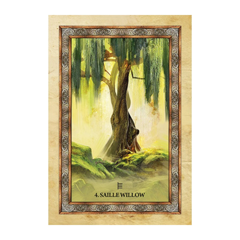 card from the celtic tree oracle 