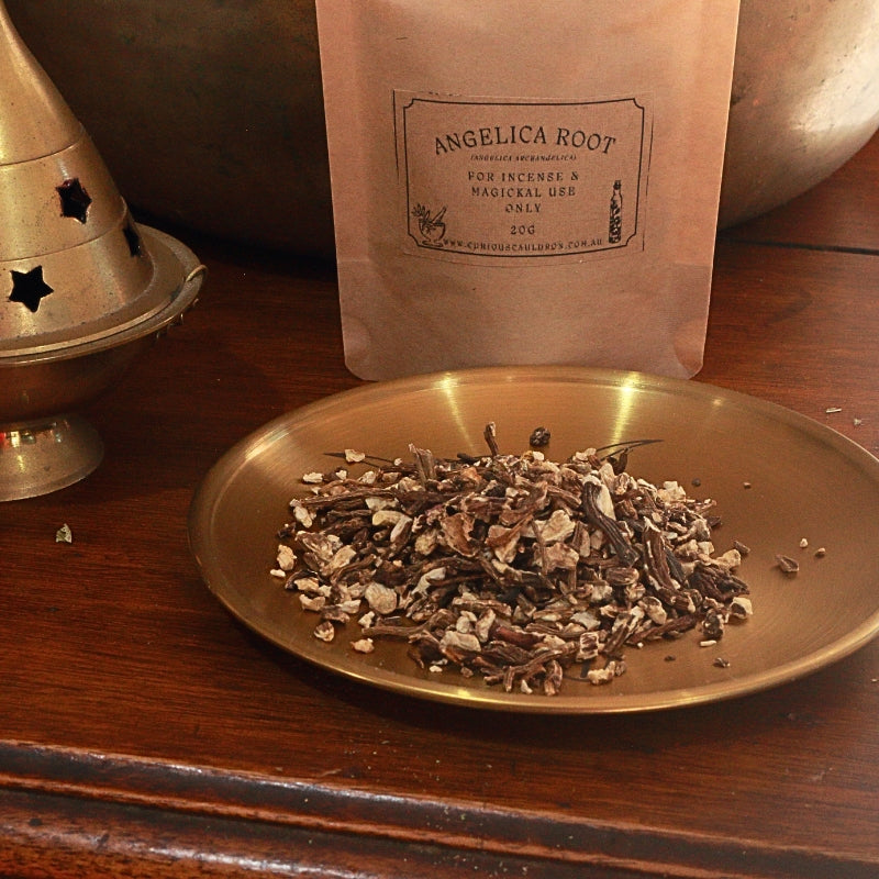 Angelica root on a plate in front of packaging that says "angelica root"