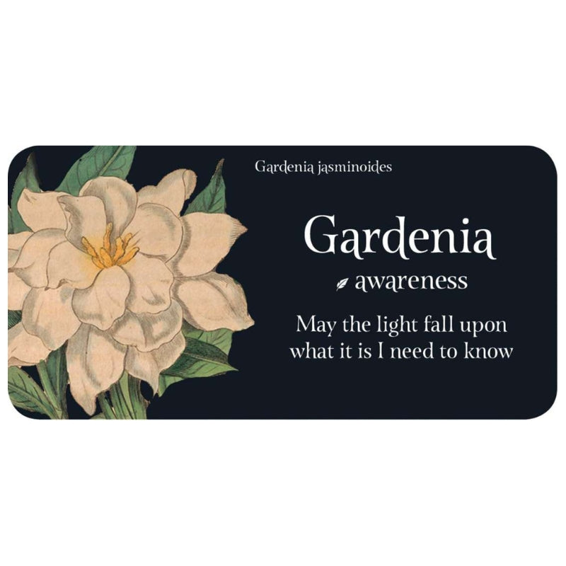 "Gardenia" card from the Language Of Flowers Affirmation Cards
