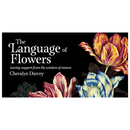 Language Of Flowers Affirmation Cards