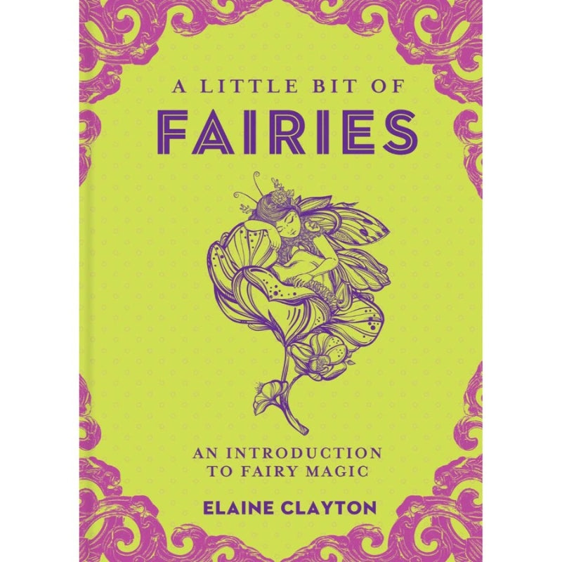 front cover of LITTLE BIT OF FAIRIES book