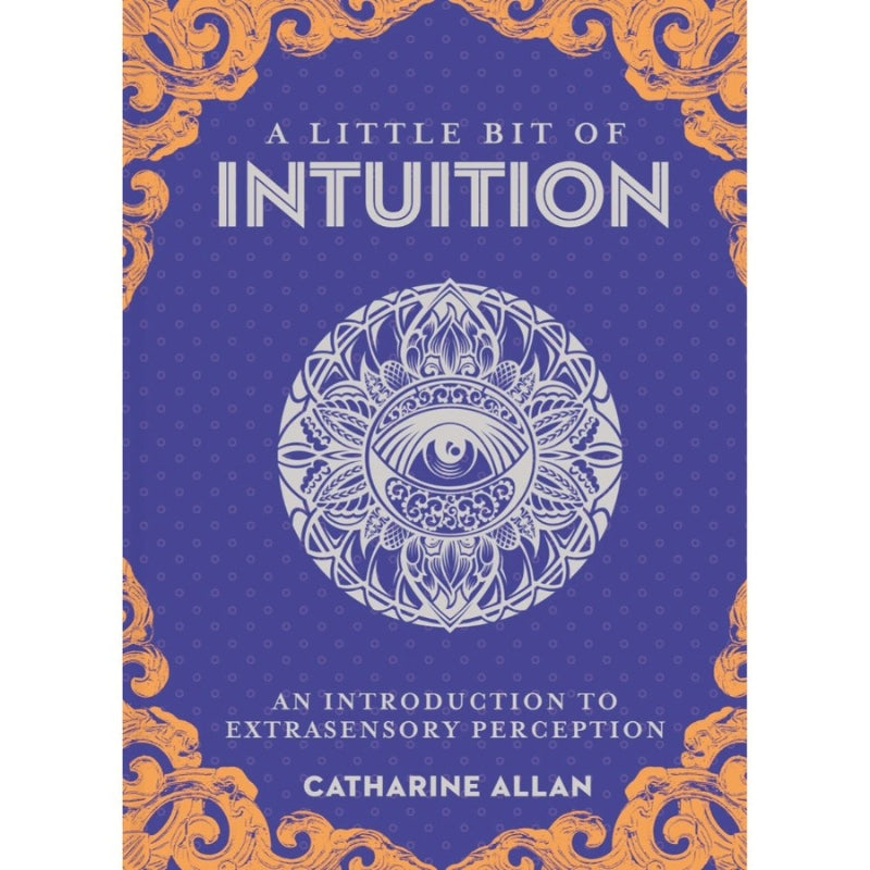 front cover of Little Bit of Intuition book