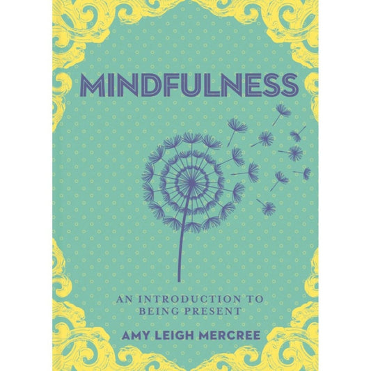 Little Bit of Mindfulness front cover of book