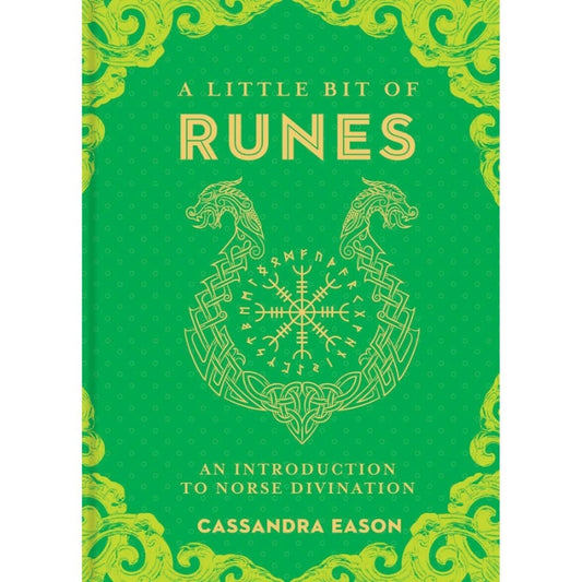 front cover of the book a Little Bit of Runes