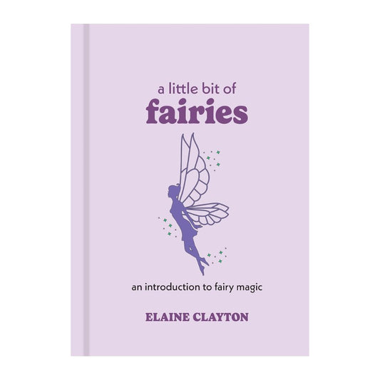Book titled 'a little bit of fairies' with a fairy illustration on a purple background