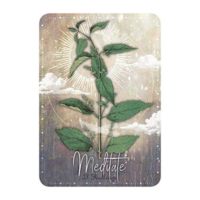 oracle card from the "magickal herb oracle"- showing an illustration of the skullcap plant