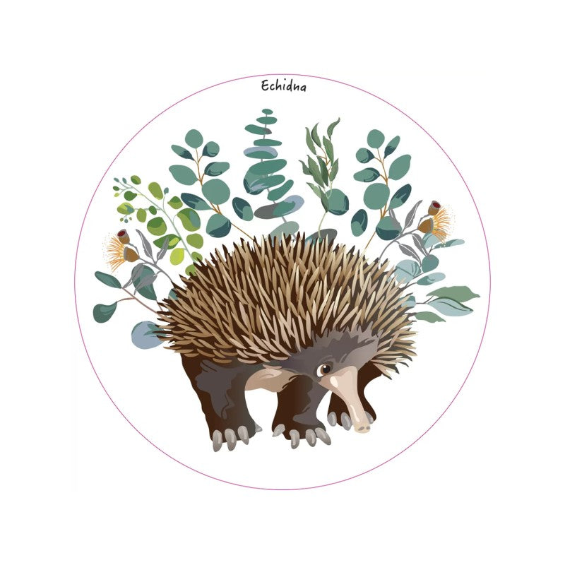 refrigerator magnet with a picture of an echidna