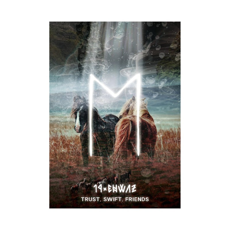 Two horses standing in a field with a white 'M' overlay and text below on a white background.