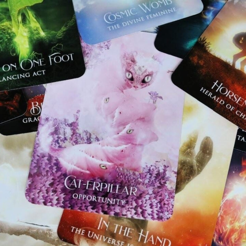 Scattered cards from the Shaman's Dream Oracle