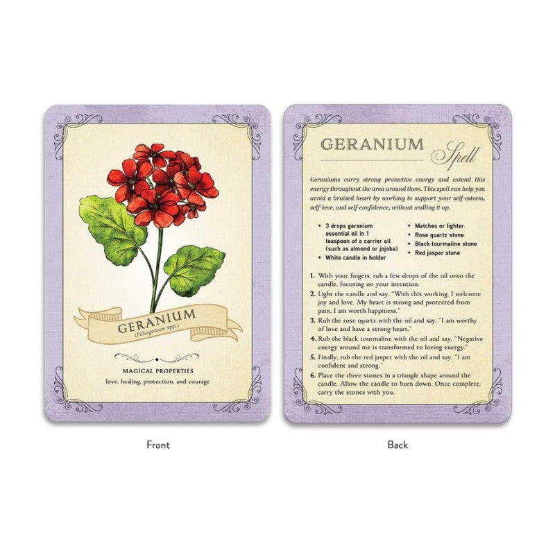 Two cards showing the front and back of a Geranium card with botanical illustration and text.