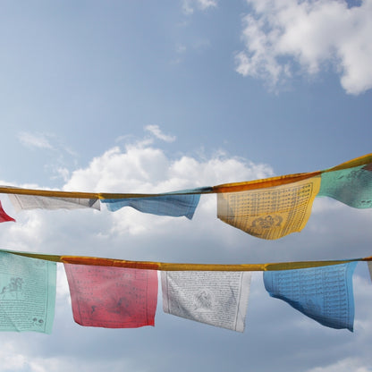 Lung ta Tibetan Buddhist Prayer Flags-Small