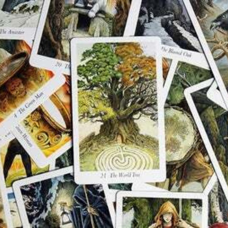 Wildwood Tarot Deck- 78 Card Tarot Deck & Guidebook