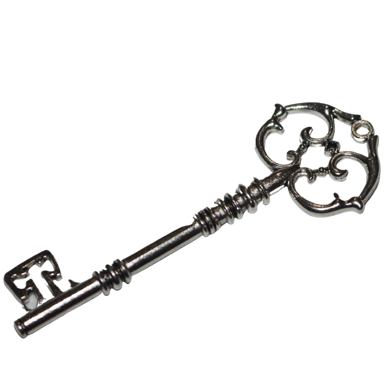 Medium Antique Skeleton Key Necklace | Vintage Key Charm | Skeleton Key Pendant