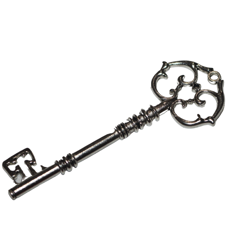 Silver skeleton key