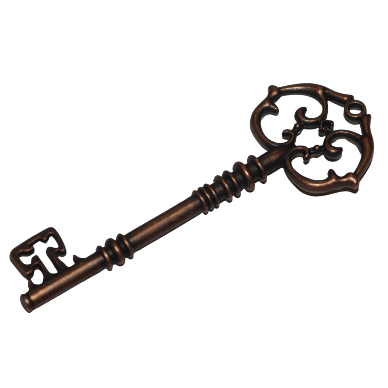 Bronze skeleton key 
