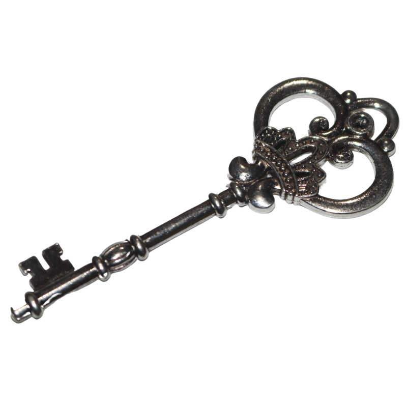 Silver skeleton key 