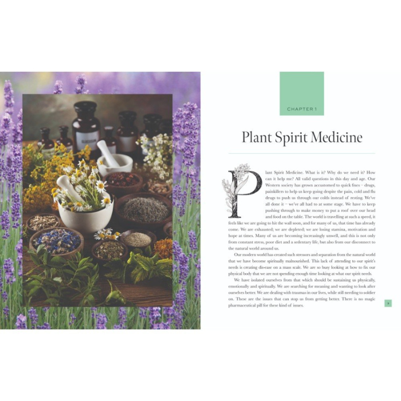 Plant Spirit Medicine- A Guide to Making Healing Products from Nature