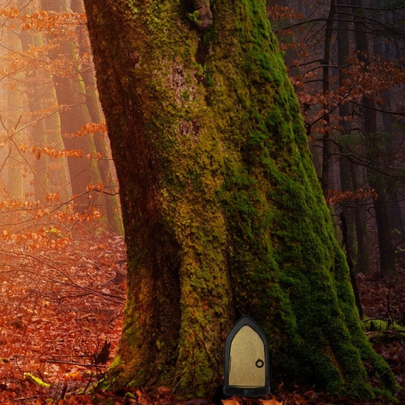 gold fairy door standing next to a tree in a forest