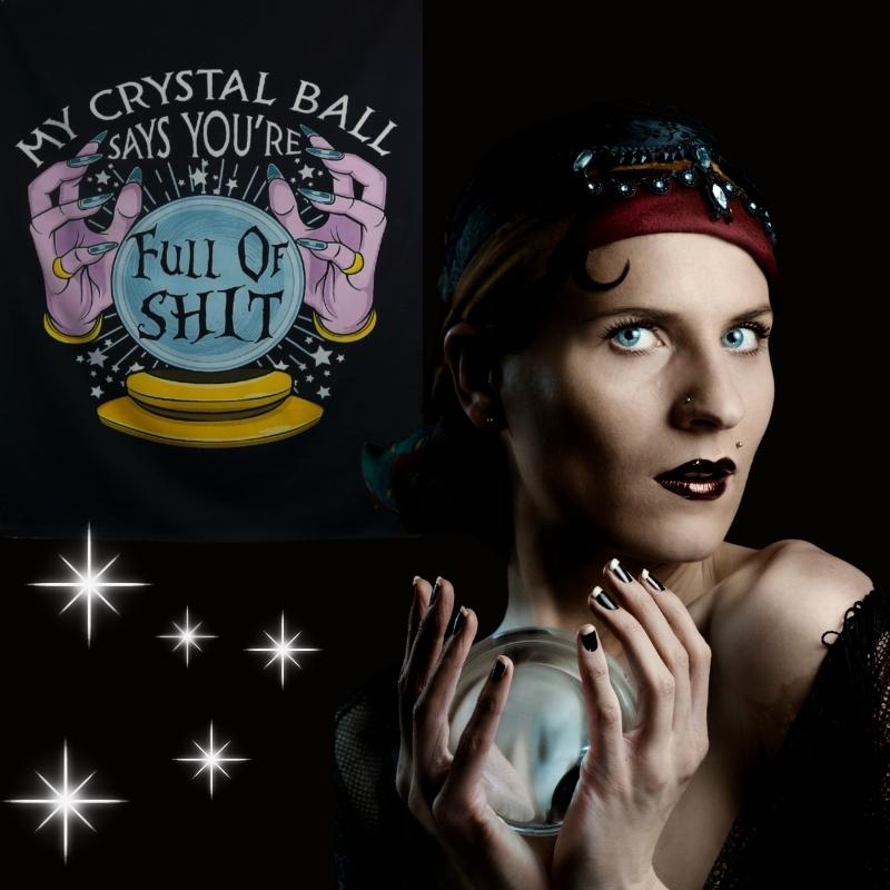 gypsy woman holding a crystal ball, in front of a sign that reads- "my crystal ball says you're full of shit"