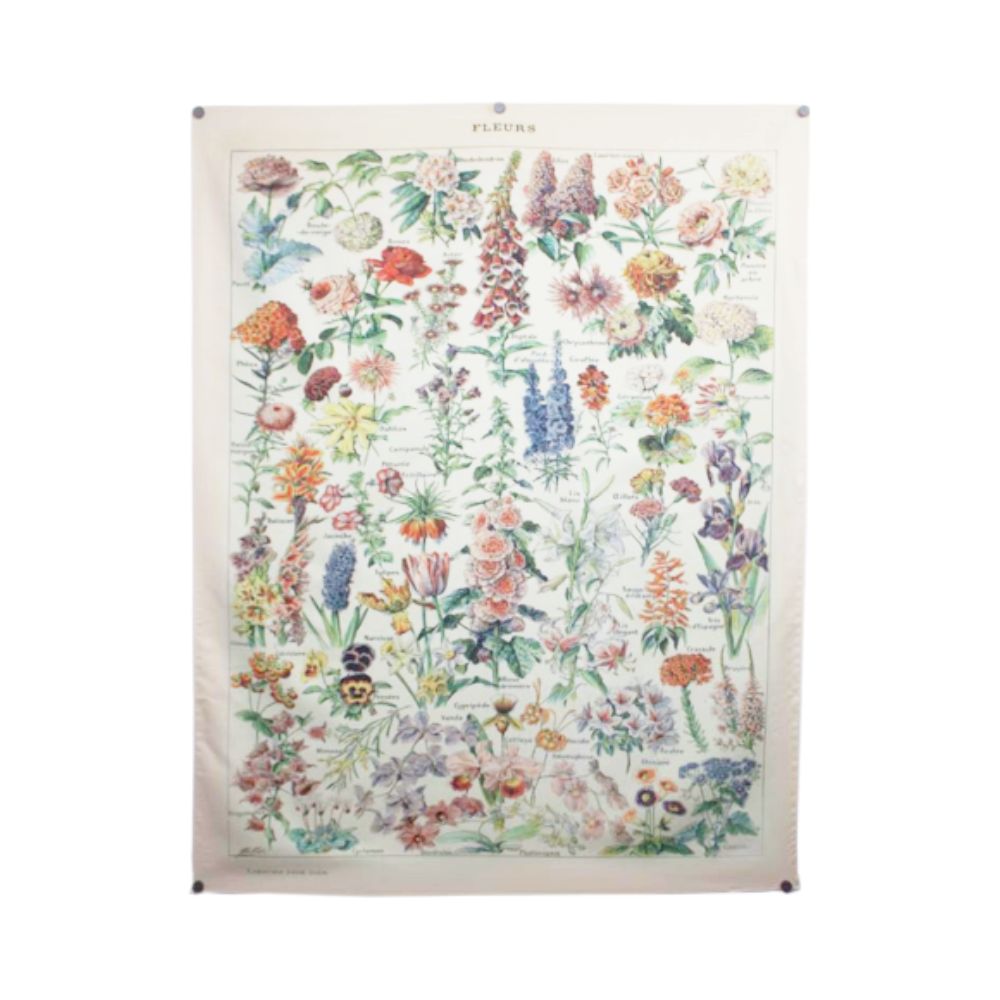 Cottagecore Botanical Print Wall Hanging / Floral Illustration Identification Chart