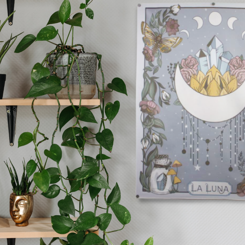 wall hanging of a crescent moon with points facing upwards, crystals and flowers inside the space between the points. The rectangular tapestry is bordered  with vines, flowers and crystals. Tapestry is hanging on a grey wall next to 2 wooden shelves. the tope shelf has a cement plantar pot with a dark green vine, the bottom shelf has a bronze coloured head shaped pot with a spiky green plant.