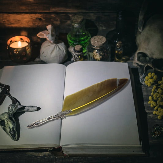 Magical Writing Tools- Yellow Feather Dip Pen- Witchcore Desk Accessory